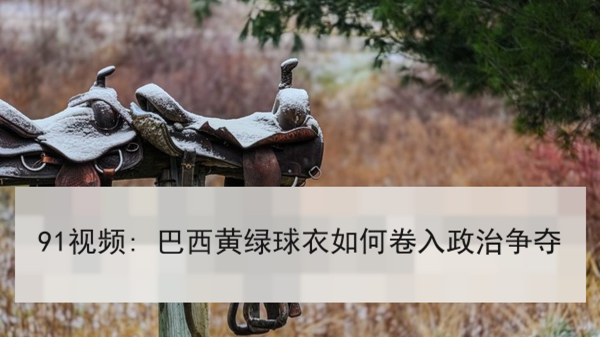 91视频: 巴西黄绿球衣如何卷入政治争夺