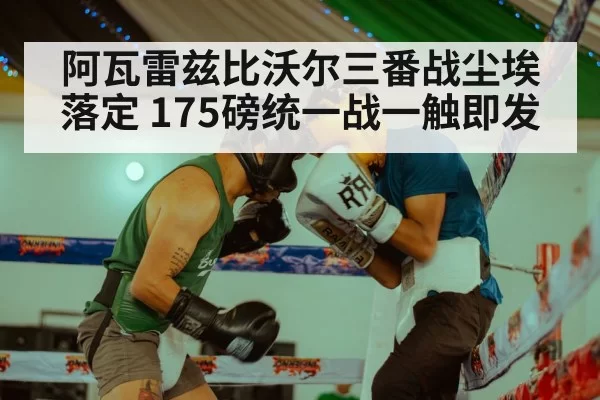 阿瓦雷兹比沃尔三番战尘埃落定 175磅统一战一触即发