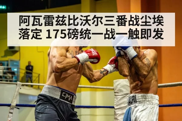 light heavyweight boxing
